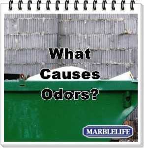 What Causes Odors - Marblelife